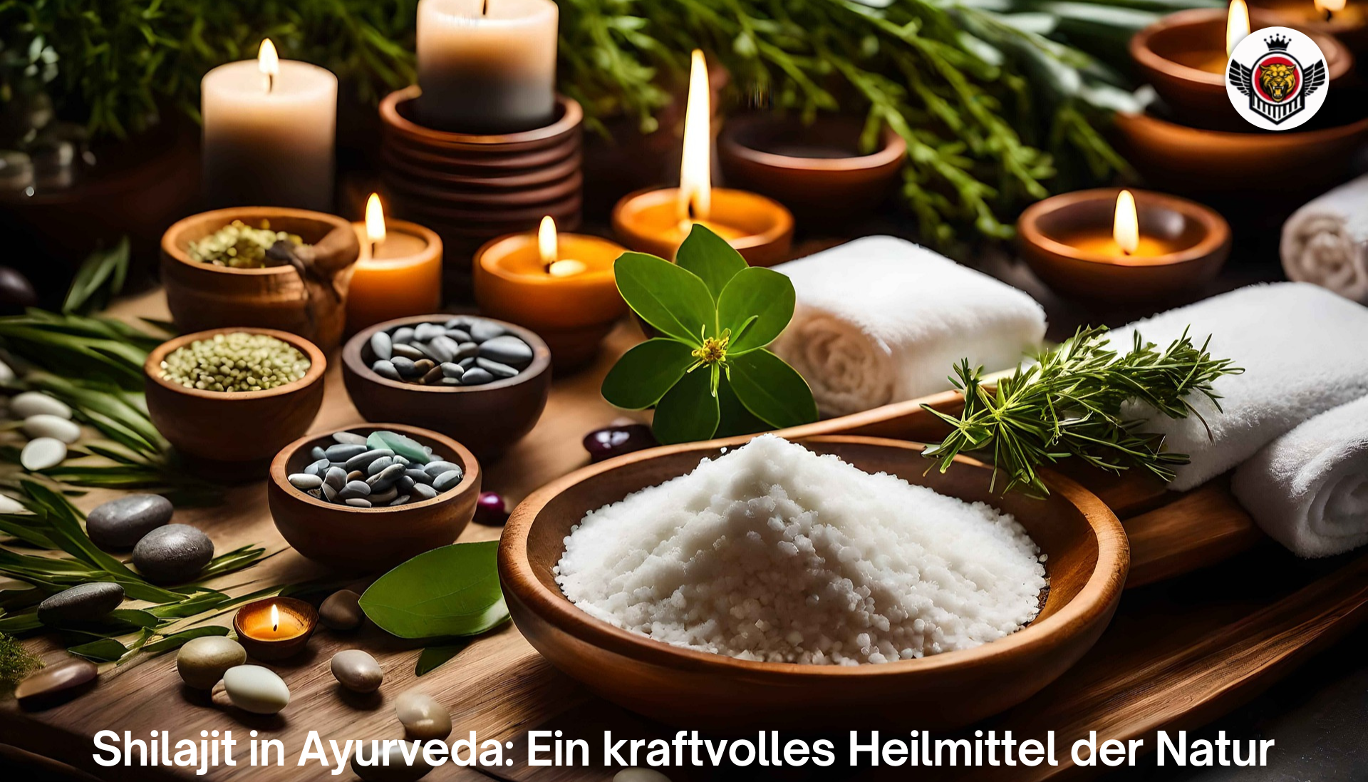 shilajit in ayurveda: ein kraftvolles heilmittel der natur